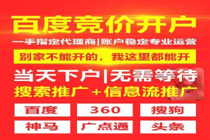 案例研究：百度竞价广告投放效果